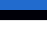 Viron karsinnan versio